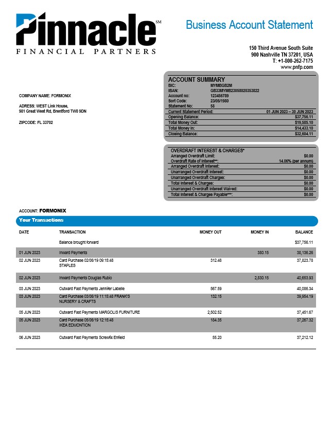 Modèle Word et PDF de relevé de compte d'entreprise de Pinnacle Financial Bank